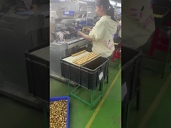 mainan desain vinil pvc plastik 3d kustom produsen mainan seni kustom